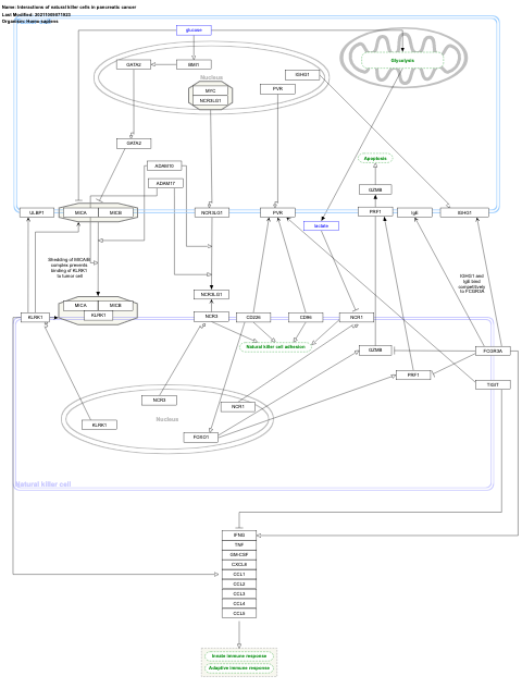 Interactions of natural killer cells in pancreatic cancer