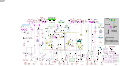 Orexin receptor pathway