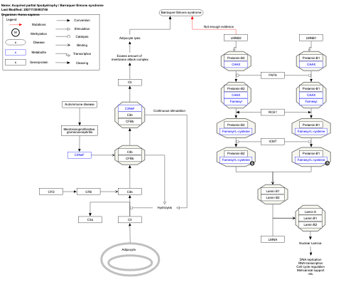 Acquired partial lipodystrophy / Barraquer-Simons syndrome