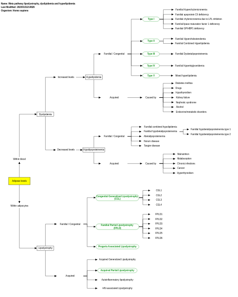 Meta pathway lipodystrophy, dyslipidemia and hyperlipidemia