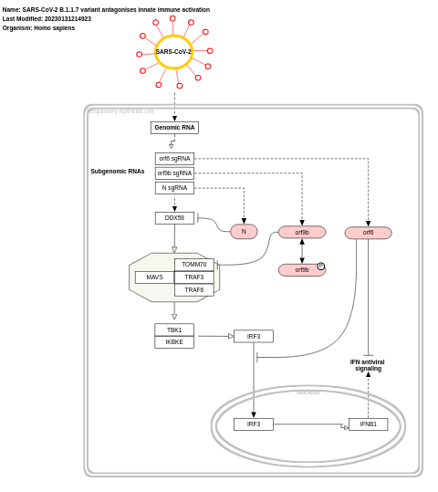SARS-CoV-2 B.1.1.7 variant antagonises innate immune activation
