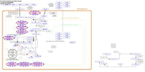 Mitochondrial fatty acid oxidation disorders