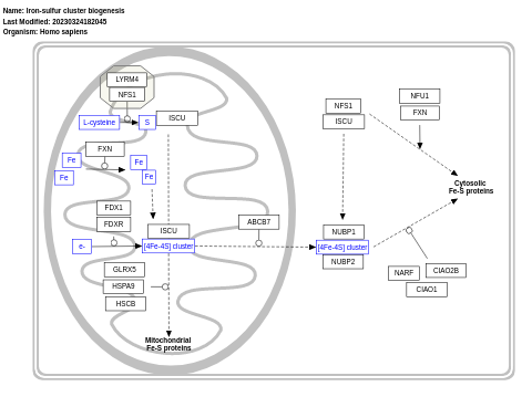 Iron-sulfur cluster biogenesis