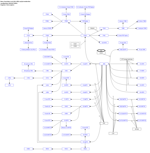 Arachidonic acid (AA, ARA) oxylipin metabolism