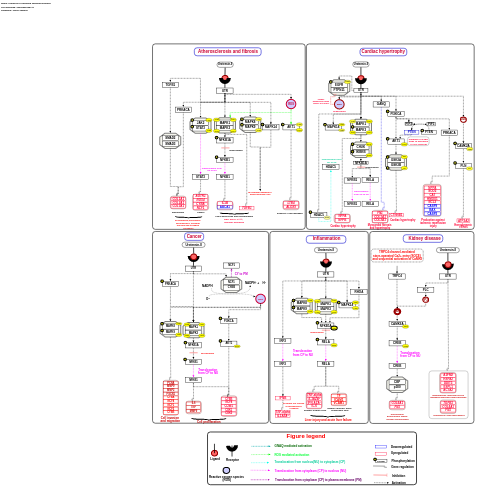 Urotensin-II-mediated signaling pathway