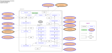 Hemesynthesis defects and porphyrias