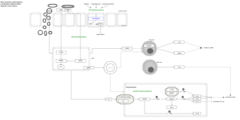Ulcerative colitis signaling
