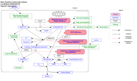Disorders in ketone body synthesis
