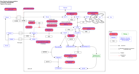 Disorders of fructose metabolism