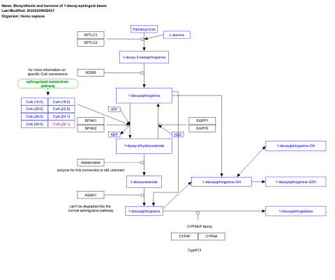 Biosynthesis and turnover of 1-deoxy-sphingoid bases
