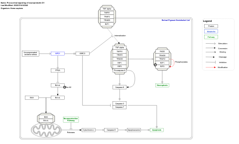 Pro-survival signaling of neuroprotectin D1