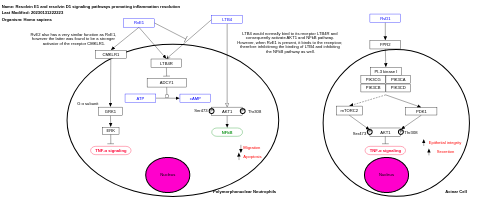 Resolvin E1 and resolvin D1 signaling pathways promoting inflammation resolution