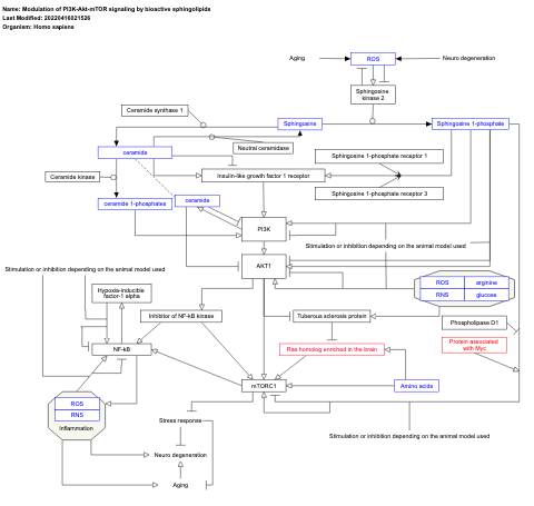 Modulation of PI3K-Akt-mTOR signaling by bioactive sphingolipids