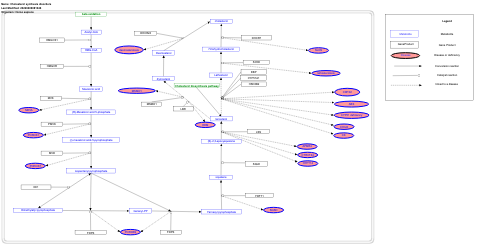 Cholesterol synthesis disorders