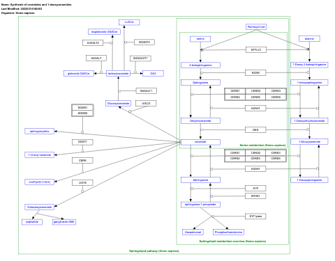 Synthesis of ceramides and 1-deoxyceramides