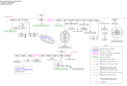 2q11.2 copy number variation syndrome