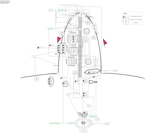 Bardet-Biedl syndrome