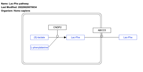 Lac-Phe pathway