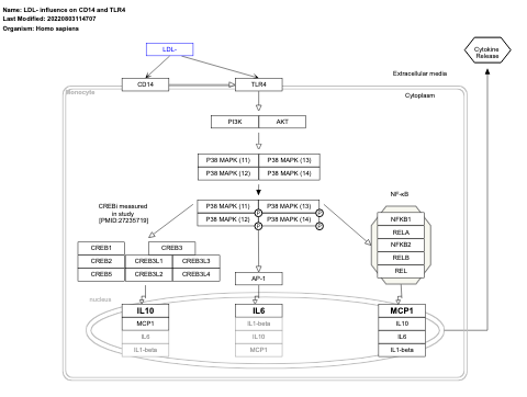LDL- influence on CD14 and TLR4
