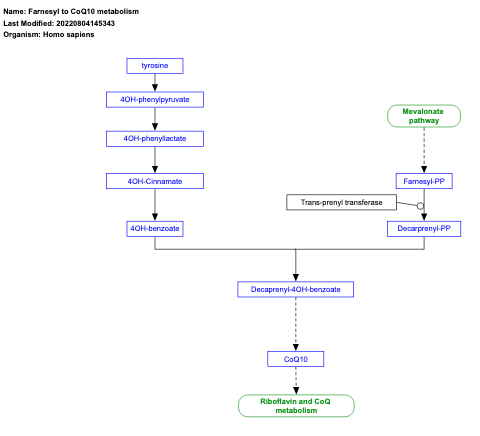 Farnesyl to CoQ10 metabolism