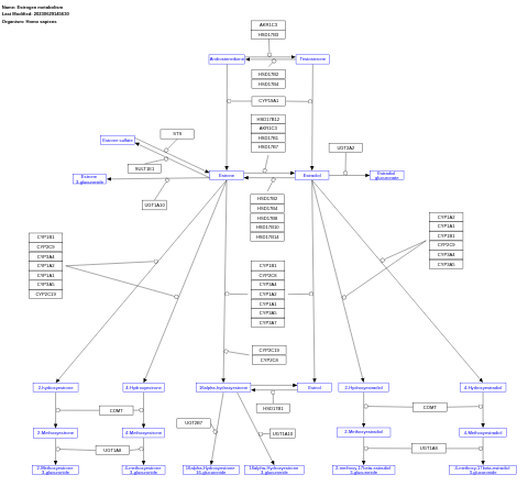 Estrogen metabolism