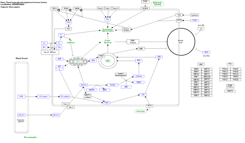 Chronic hyperglycemia impairment of neuron function