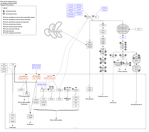 Acute myeloid leukemia