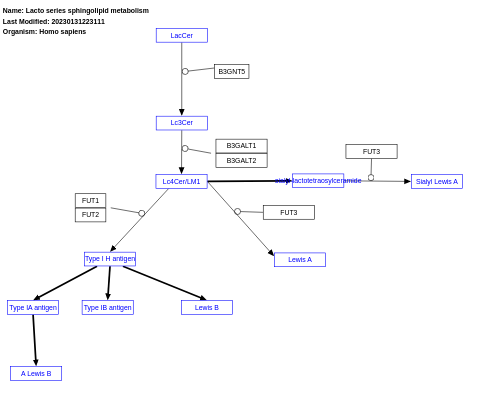 Lacto series sphingolipid metabolism