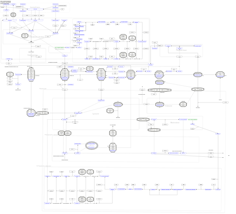 Cholesterol metabolism