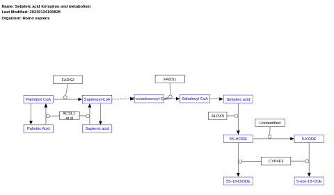 Sebaleic acid formation and metabolism