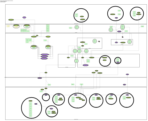 Fatty Acids and Lipoproteins Transport in Hepatocytes