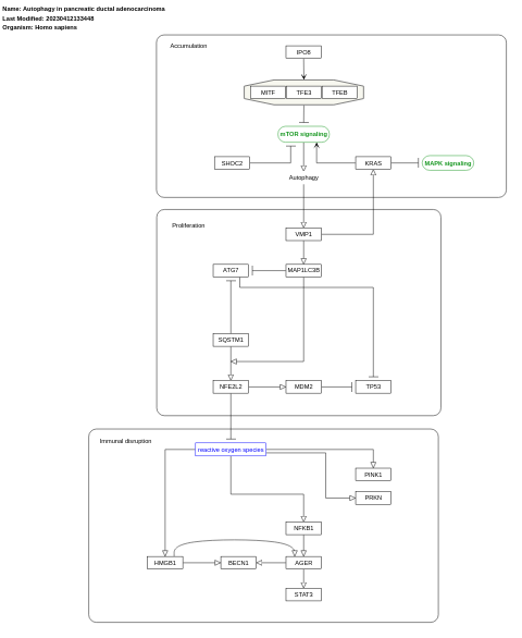 Autophagy in pancreatic ductal adenocarcinoma