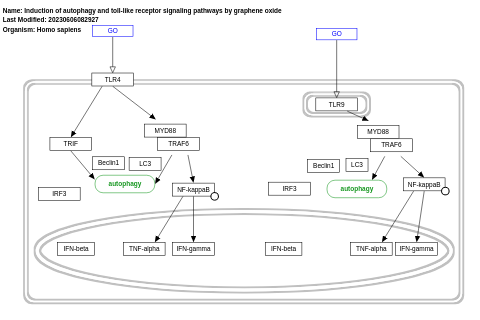 Induction of autophagy and toll-like receptor signaling pathways by graphene oxide 