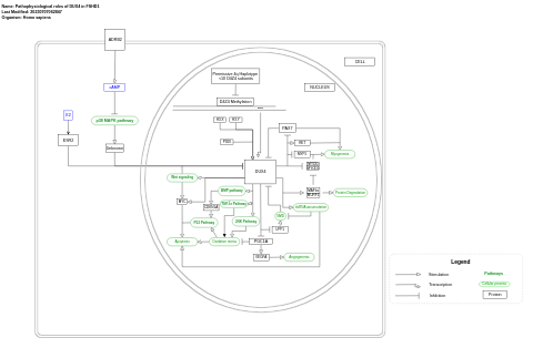 Pathophysiological roles of DUX4 in FSHD1