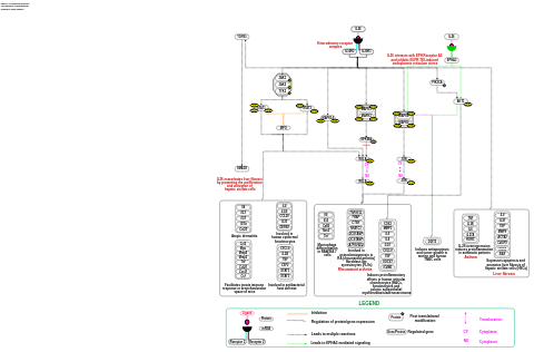IL-26 signaling pathways