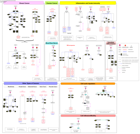 A network map of Macrophage-stimulating protein (MSP) signaling
