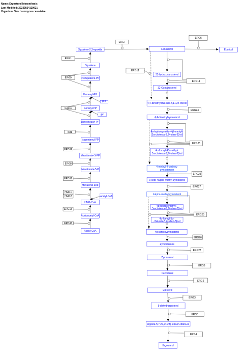 Ergosterol biosynthesis