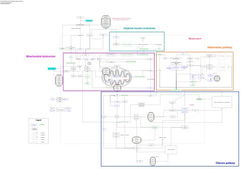 Disturbed pathways in Duchenne Muscular Dystrophy