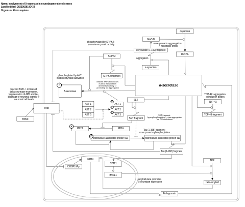 Involvement of δ-secretase in neurodegenerative diseases