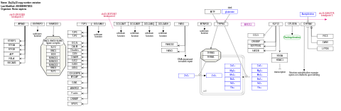 15q11q13 copy number variation