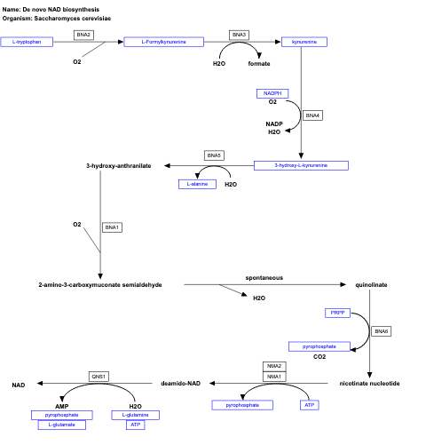 De novo NAD biosynthesis