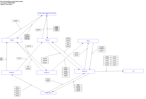 Phosphatidyl inositol phosphate pathway