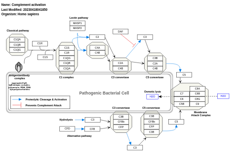 Complement activation