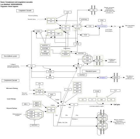 Complement and coagulation cascades