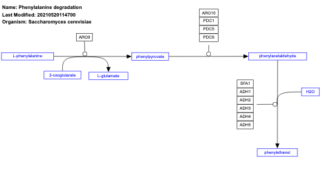 Phenylalanine degradation