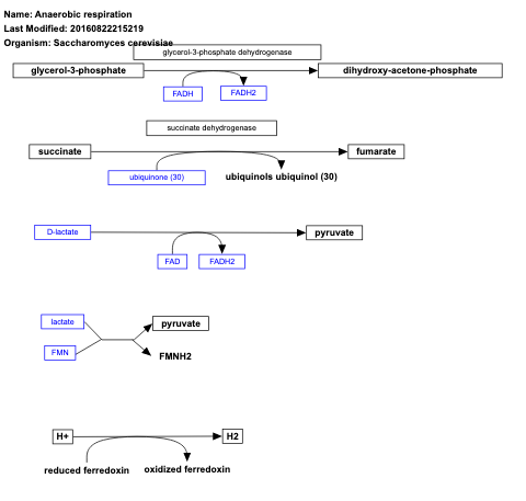 Anaerobic respiration