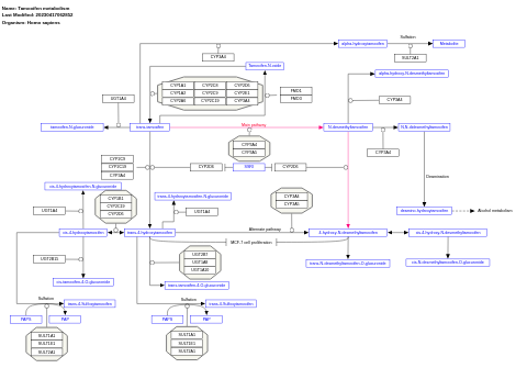 Tamoxifen metabolism