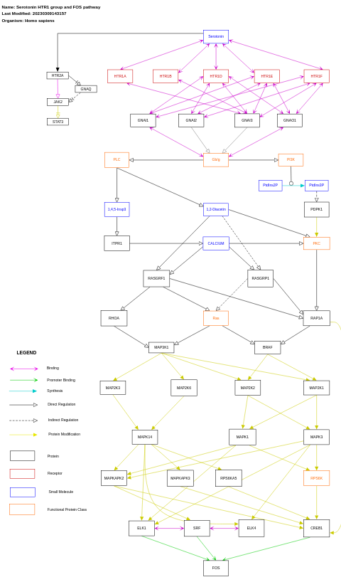 Serotonin HTR1 group and FOS pathway