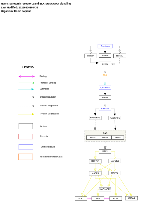 Serotonin receptor 2 and ELK-SRF/GATA4 signaling