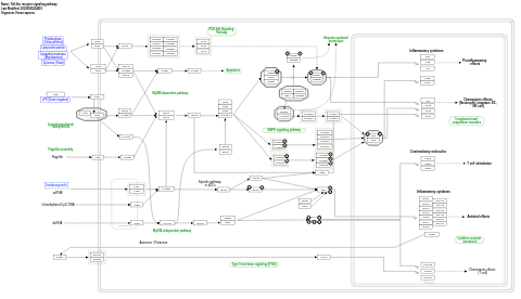Toll-like receptor signaling pathway